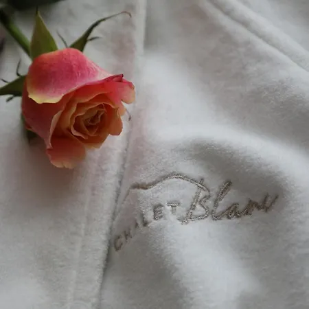 Blanc Cervinia Bed and breakfast