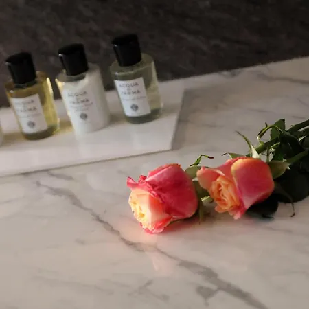 住宿加早餐酒店 Blanc Cervinia 布勒伊-切尔维尼亚